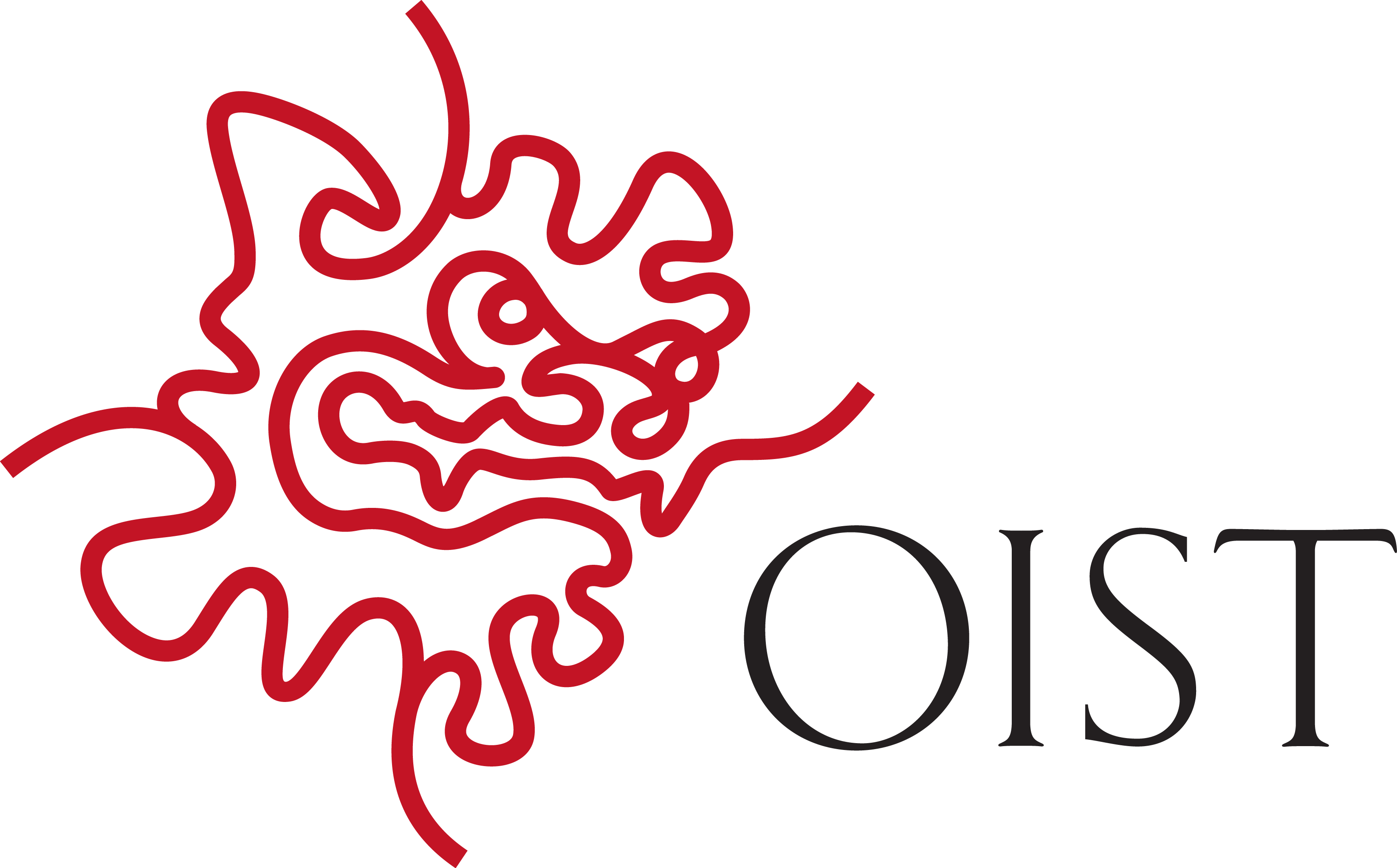 برنامج OIST التدريبي البحثي 2022 – اليابان
